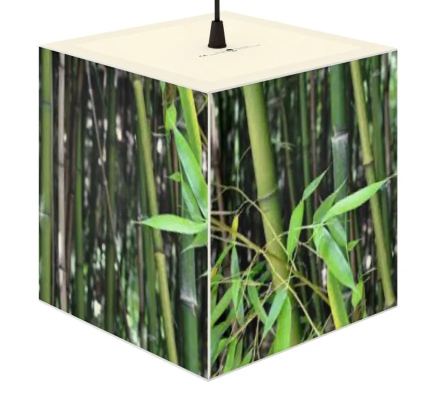 Bamboo Bush 3D Printed Square Cube Lamp,Contemporary/Modern/Trendy Light Feature/Home Decor Gifts, stackable, Vertical/Horizontal