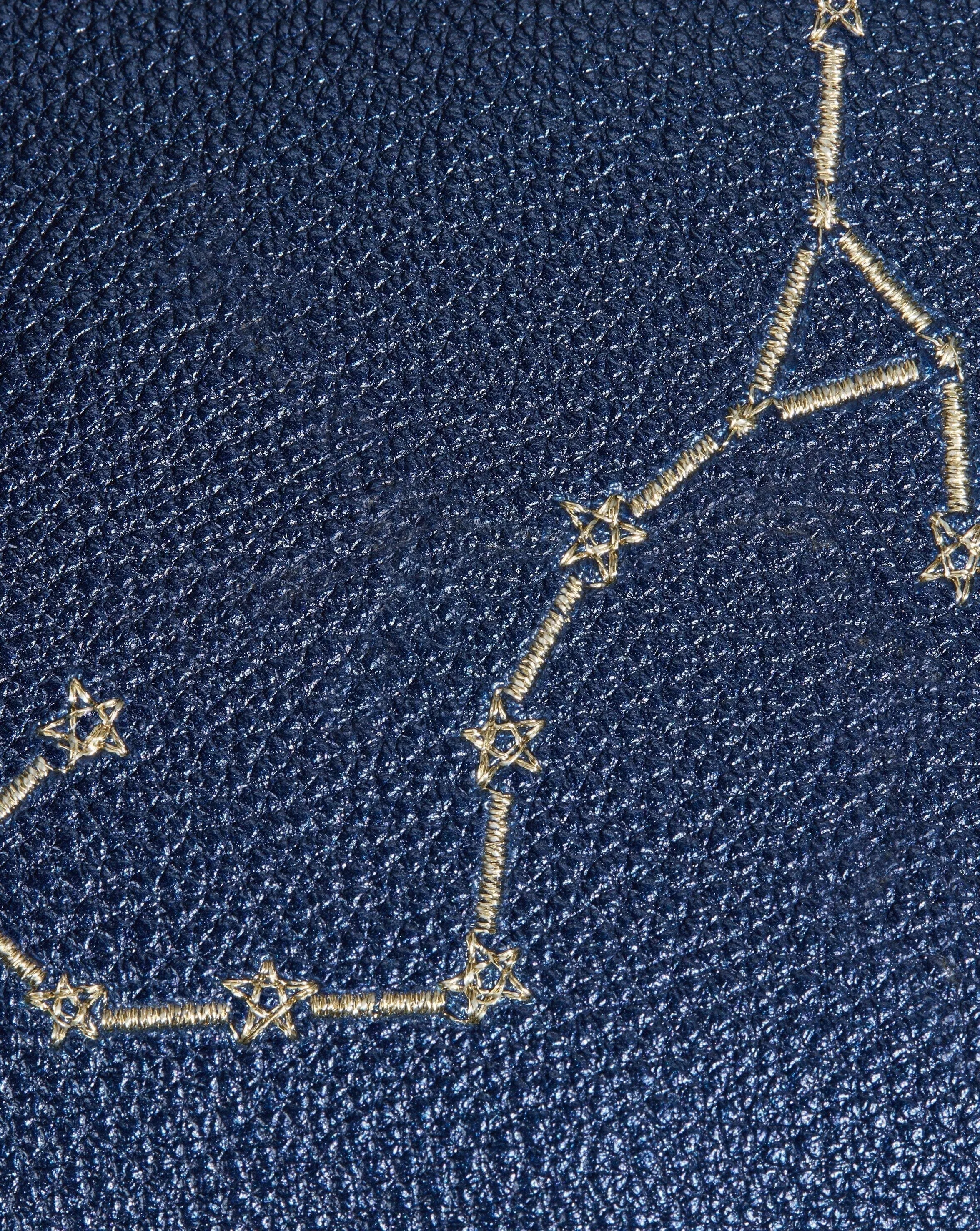 Constellation Pouch | Scorpio