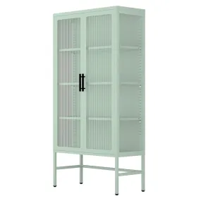 Double Glass Door Storage Cabinet