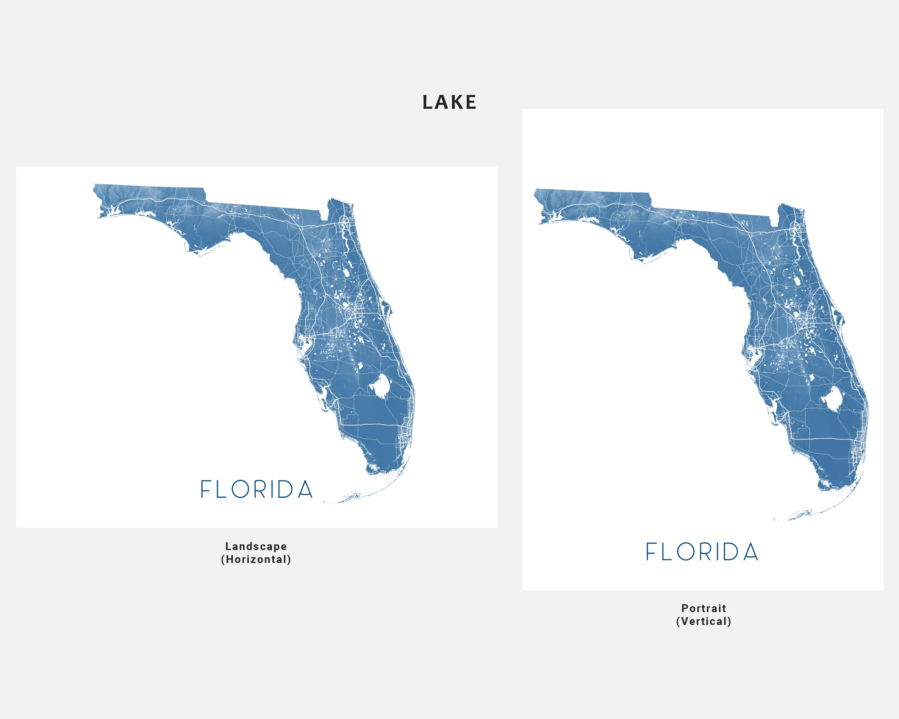 Florida Map Print - Topographic Map of Florida State Wall Art Poster