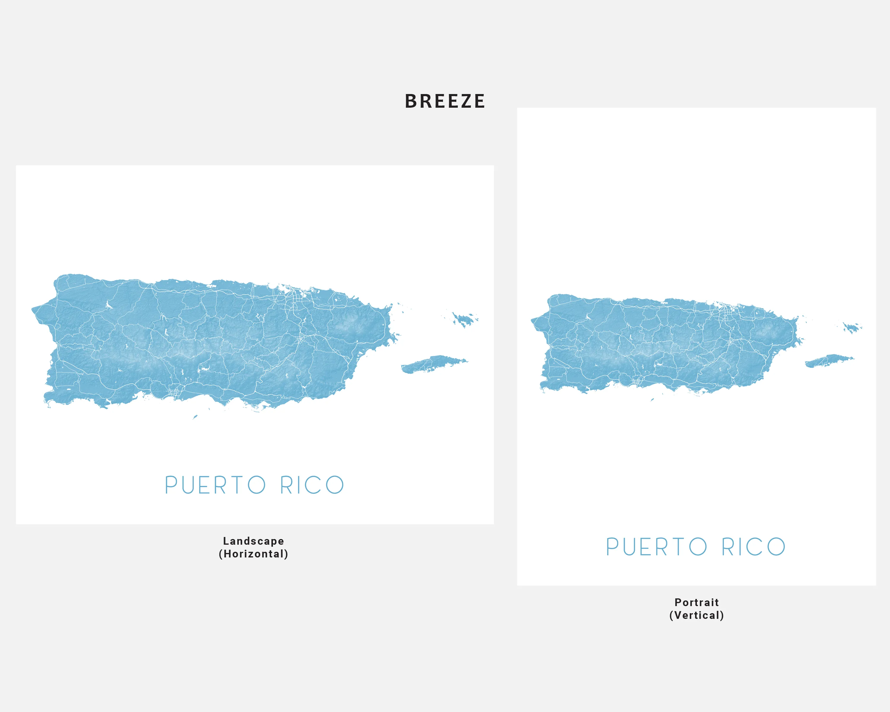 Puerto Rico Map Wall Art Print - Topographic Caribbean Island Poster Maps