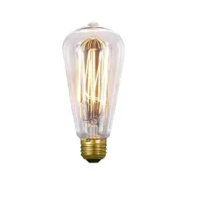 Squirrel Cage Light Bulbs